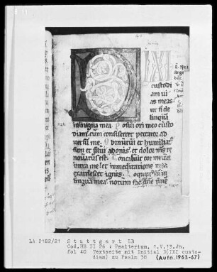 Psalterium — Initiale D (ixi custodiam), Folio 40recto