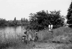 Breisach: Spaziergang am Yachthafen bei Breisach