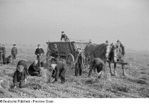 Bauern und Kinder auf dem Feld bei der Kartoffelernte