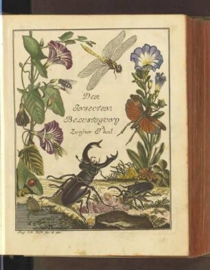 2.1749: Der monathlich-herausgegebenen Insecten-Belustigung ... Theil, 2.1749
