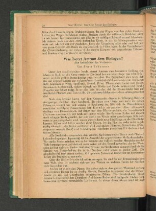 Was bietet Amrum dem Biologen?