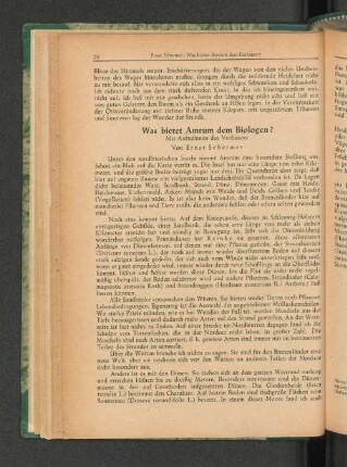 Was bietet Amrum dem Biologen?