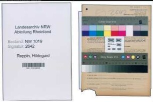 Entnazifizierung Hildegard Reppin , geb. 22.11.1905 (Dolmetscherin)