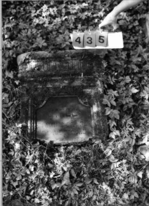 Grabstein 435 (Index: 99792003) Material: Sandstein Zustand: gut, Stele liegend, oberer Teil der Stele fehlt Maße HxBxT: 66x65x20 cm Beschreibung: Stele, Schriftfeld eingetieft Symbolik: Blüten: Grabstein 435
