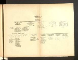 Stammtafel IV.