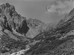 Kohlbachtal : Blick auf das Kohlbachtal und die umliegende Landschaft.