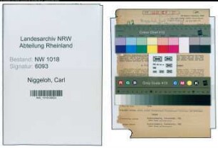 Entnazifizierung Carl Niggeloh , geb. 07.09.1876 (Fabrikant)