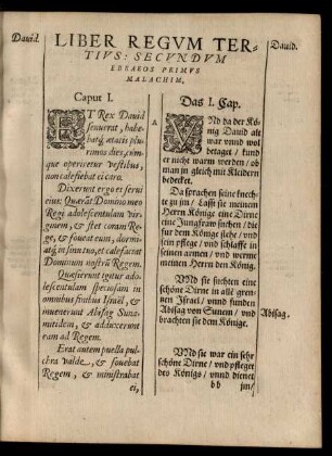 Liber Regum Tertius: Secundum Ebraeos Primus Malachim.