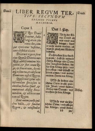 Liber Regum Tertius: Secundum Ebraeos Primus Malachim.
