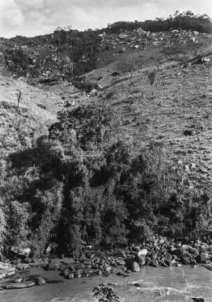 Bäume am Flussufer : Im Vordergrund ein Fluss und an dessen Ufer eine Baumgruppe am Hang eines Hügels. Auf dem Hügel Felsen und Baumgruppen auf dem Kamm, an den Hängen im Mittelgrund Grasflächen.