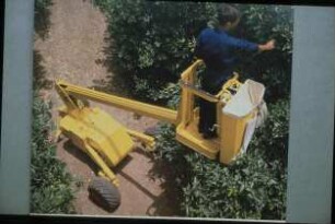 Fotografie: Obstbau, Ernteverfahren, Erntetechnik, Arbeitsplatz, Arbeitskraft, Handarbeit