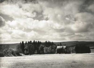 Westerzgebirge. Kammhochfläche und Kammwälder bei Gottesgab