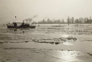 Dresden. Elbe in der Nähe des Pieschener Hafen, Elbfähre mit Treibeis : Dresden, Elbfähre