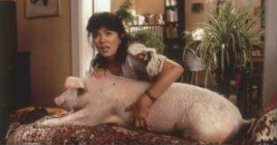 Rennschwein Rudi Rüssel