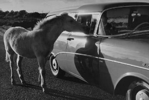 Archivfotografie "ausland_wales_5640"
