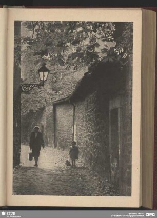 Alt-Erfurt, Herbstliche Gasse