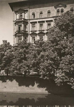 Berlin. Lützowufer in der Nähe der Herkulesbrücke. Blühende Kastanien am Landwehrkanal