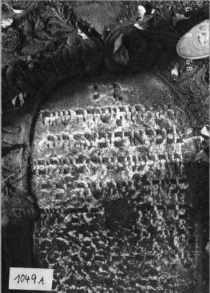 Grabstein 1049 (Index: 99751151) Material: Sandstein Zustand: stark verwitt/Textverl/Stele liegend Maße HxBxT: 172x76x9 cm Beschreibung: Stele, ovales Schriftfeld Symbolik: Blumen, Ranken: Grabstein 1049A