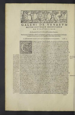 Galeni de venarum