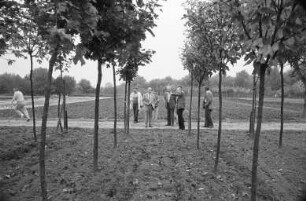 Baumschule des städtischen Gartenbauamts in Rüppurr