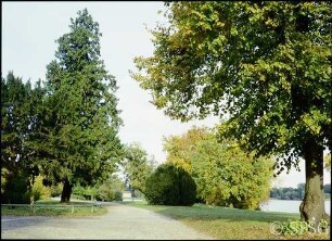 Potsdam, Neuer Garten, Parkansicht, Blick auf das Grüne Haus.