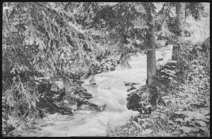 Natschungtal. Im Tal
