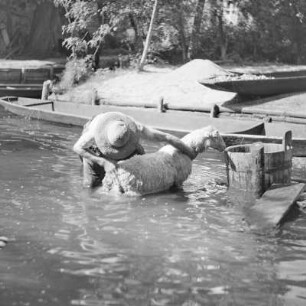 Spreewaldbauer reinigt sein Schaf im Fluss vor seinem Gehöft. : Błótowčan rjedźi swoju wowcu w rěce před swojim statokom.