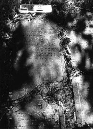 Grabstein 122 (Index: 99796456) Material: Sandstein Zustand: gut Maße HxBxT: 0x0x0 cm Beschreibung: Stele, Segmentbogenabschluß: Grabstein 122