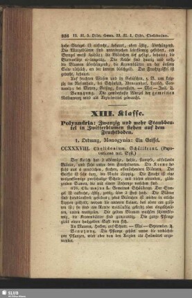 XIII. Klasse. Polyandria: Zwanzig und mehr Staubbeutel in Zwitterblumen stehen auf dem Fruchtboden