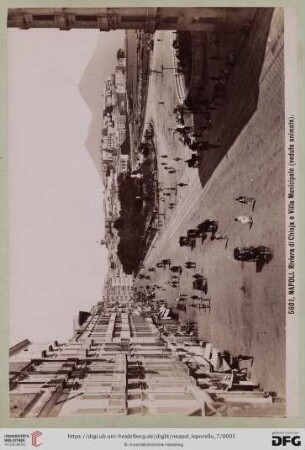 5601. NAPOLI. Riviera di Chiaja e Villa Municipale (veduta animata).