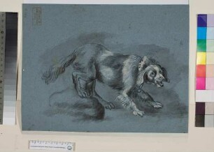 Bellender Hund