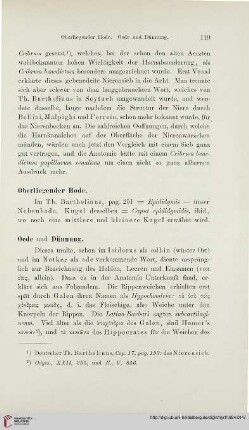 Oberliegender Hode – Oren-blättchen