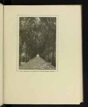 Hauptallee auf dem Friedhof der St. Michaelis-Gemeinde in Hamburg