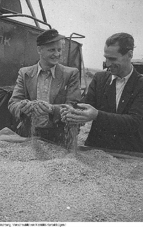 Ebersbach-Kalkreuth und Zabeltitz-Stroga. Getreide, Ernte, Juli 1953