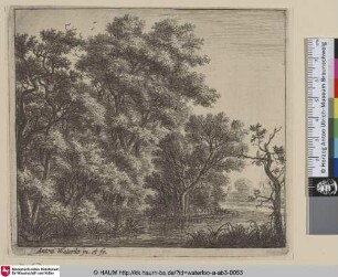 [Eine bewaldete Insel; The wooded island]