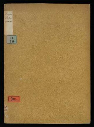 Soliloquium in modum dialogi