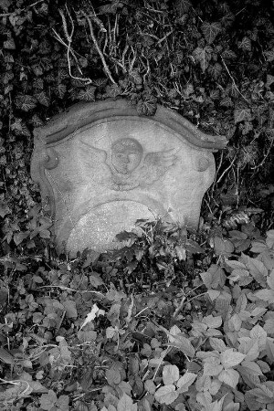 Friedhofsanlage; Wächtersbach, Im Aßmusgarten