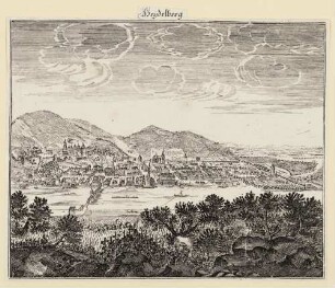 Heidelberg, Stadt und Schloss von Norden