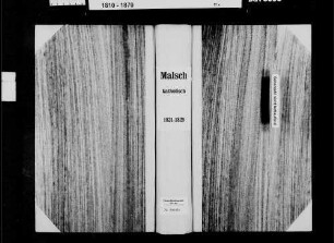 Malsch, katholische und israelitische Gemeinde und Malschenberg, katholische Gemeinde: Standesbuch 1821-1825