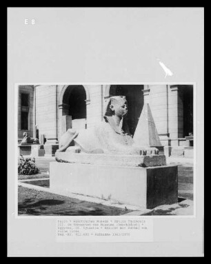 Sphinx Thutmosis III. im Vorgarten des Museums