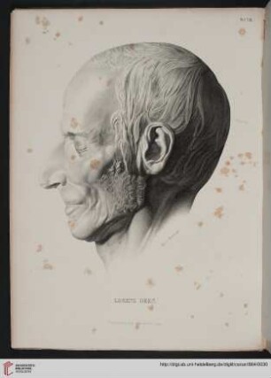 Tafel VIII: Lorenz Oken