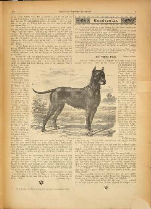 Allgemeiner bayerischer Thierfreund : illustrierte Wochenschrift für sämmtliche bayerische Geflügel-, Vogelzucht-Vereine und -Verbände ; Centralorgan für Geflügel-, Vogel-, Brieftauben-, Bienen-, Fisch- und Kaninchen-Zucht, Hunde- und Jagdsport sowie der gesammten Thierwelt. 1. 1895