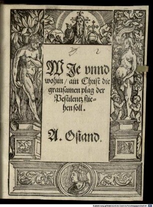 WJe vnnd wohin, ain Christ die grausamen plag der Pestilentz fliehen soll
