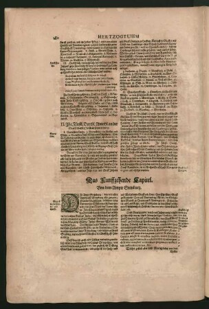 Das Funffzehende Capitel. Von dem Ampte Steinburg.