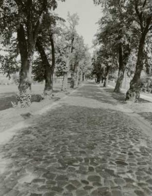 Straße, Herzberg (Kreis Beeskow)
