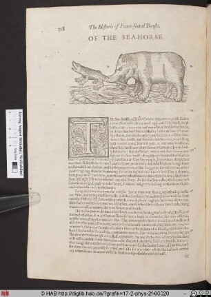 Of the Sea-Horse.