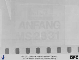 MF Mau 2331