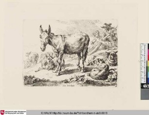 [Esel umgeben von weidenden Schafen und Ziegen; The Set of the Animals, 4 ; L'âne]