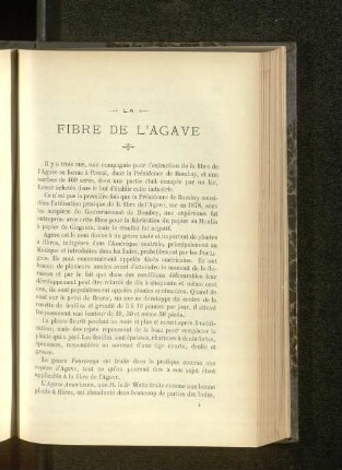 La Fibre De L'Agave.