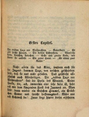 Schiller : kulturgeschichtlicher Roman in 6 Büchern, 4